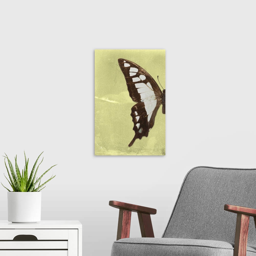A modern room featuring Half of a butterfly on a yellow sparkly background.