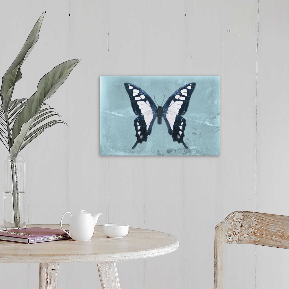A farmhouse room featuring Photograph of a butterfly on a blue sparkly background.