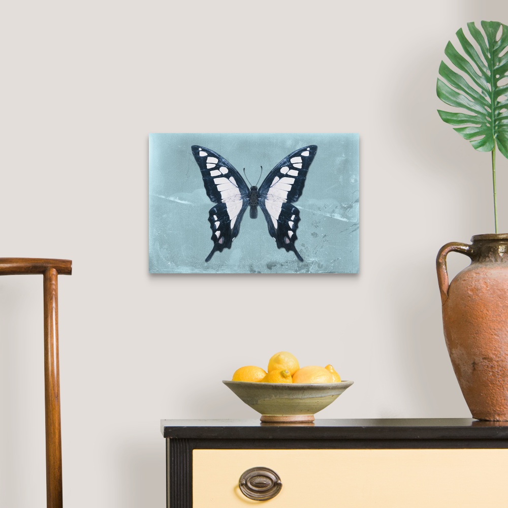 A traditional room featuring Photograph of a butterfly on a blue sparkly background.