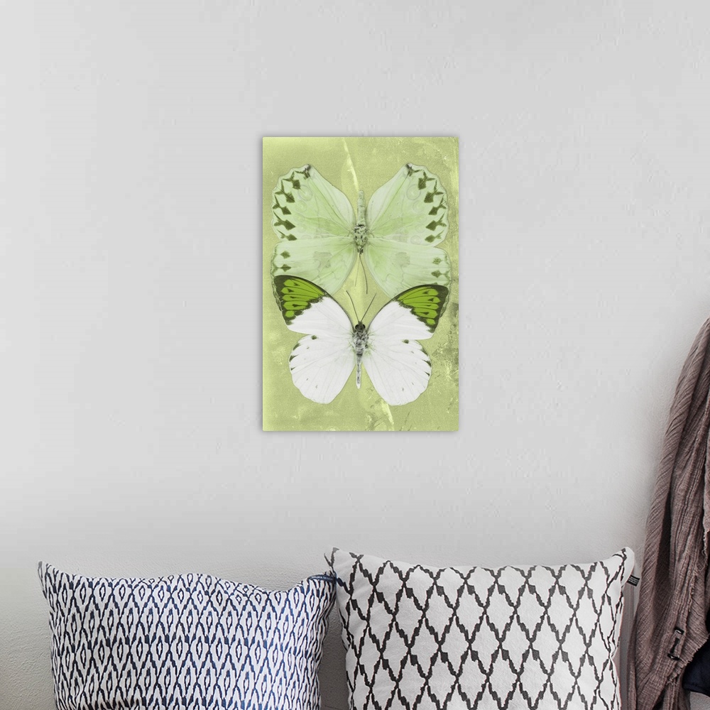 A bohemian room featuring Two butterflies overlaid on a lime green sparkly background.