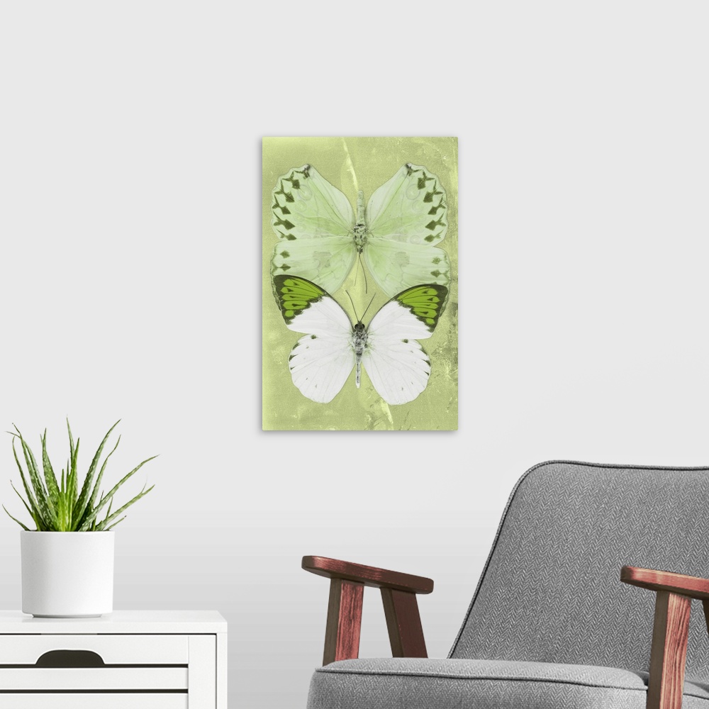 A modern room featuring Two butterflies overlaid on a lime green sparkly background.