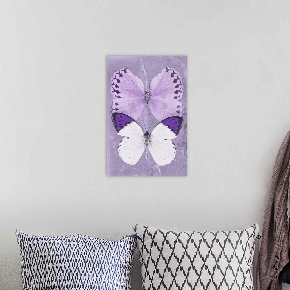A bohemian room featuring Two butterflies overlaid on a purple sparkly background.