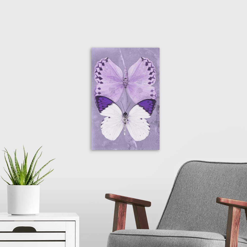 A modern room featuring Two butterflies overlaid on a purple sparkly background.