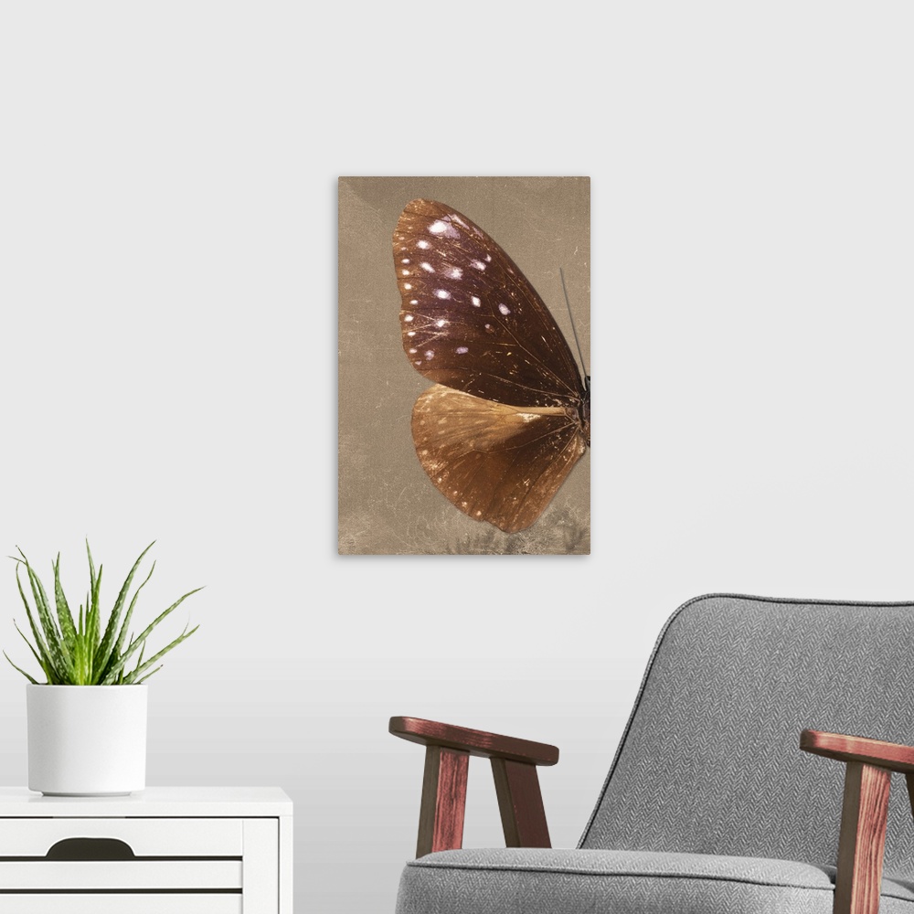 A modern room featuring Half of a butterfly on a brown sparkly background.