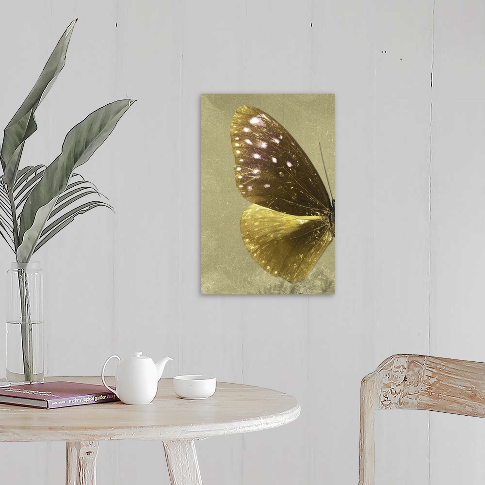 A farmhouse room featuring Half of a butterfly on a gold sparkly background.