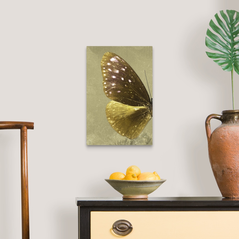A traditional room featuring Half of a butterfly on a gold sparkly background.