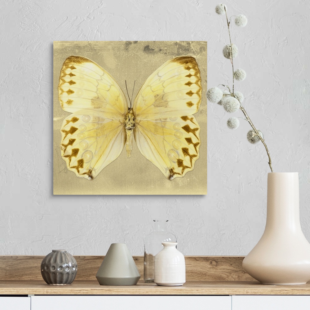 A farmhouse room featuring Square photograph of a butterfly on a gold sparkly background.
