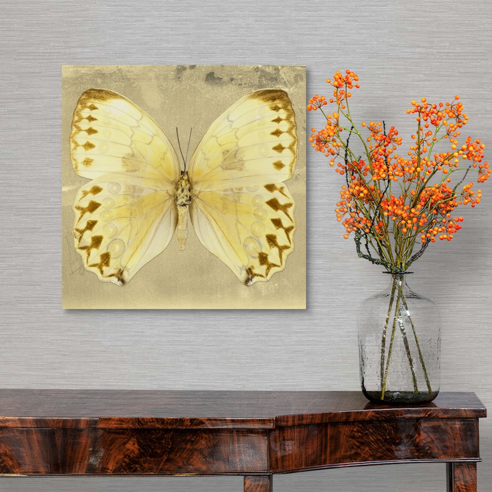 A traditional room featuring Square photograph of a butterfly on a gold sparkly background.