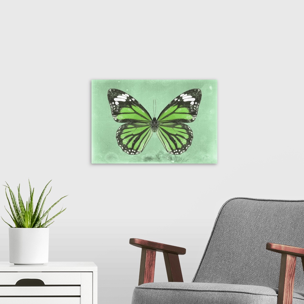 A modern room featuring Photograph of a butterfly on a green sparkly background.