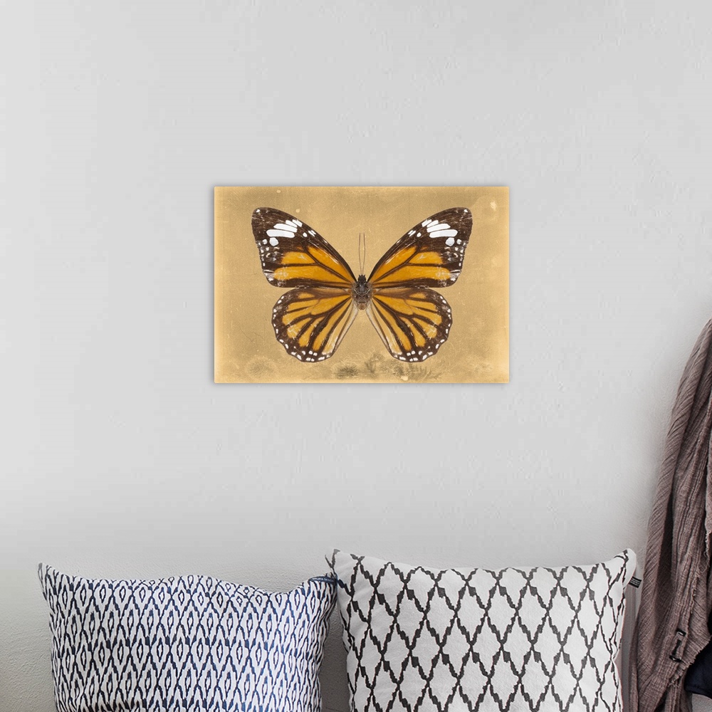 A bohemian room featuring Photograph of a butterfly on an orange sparkly background.