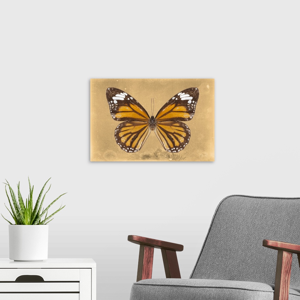 A modern room featuring Photograph of a butterfly on an orange sparkly background.