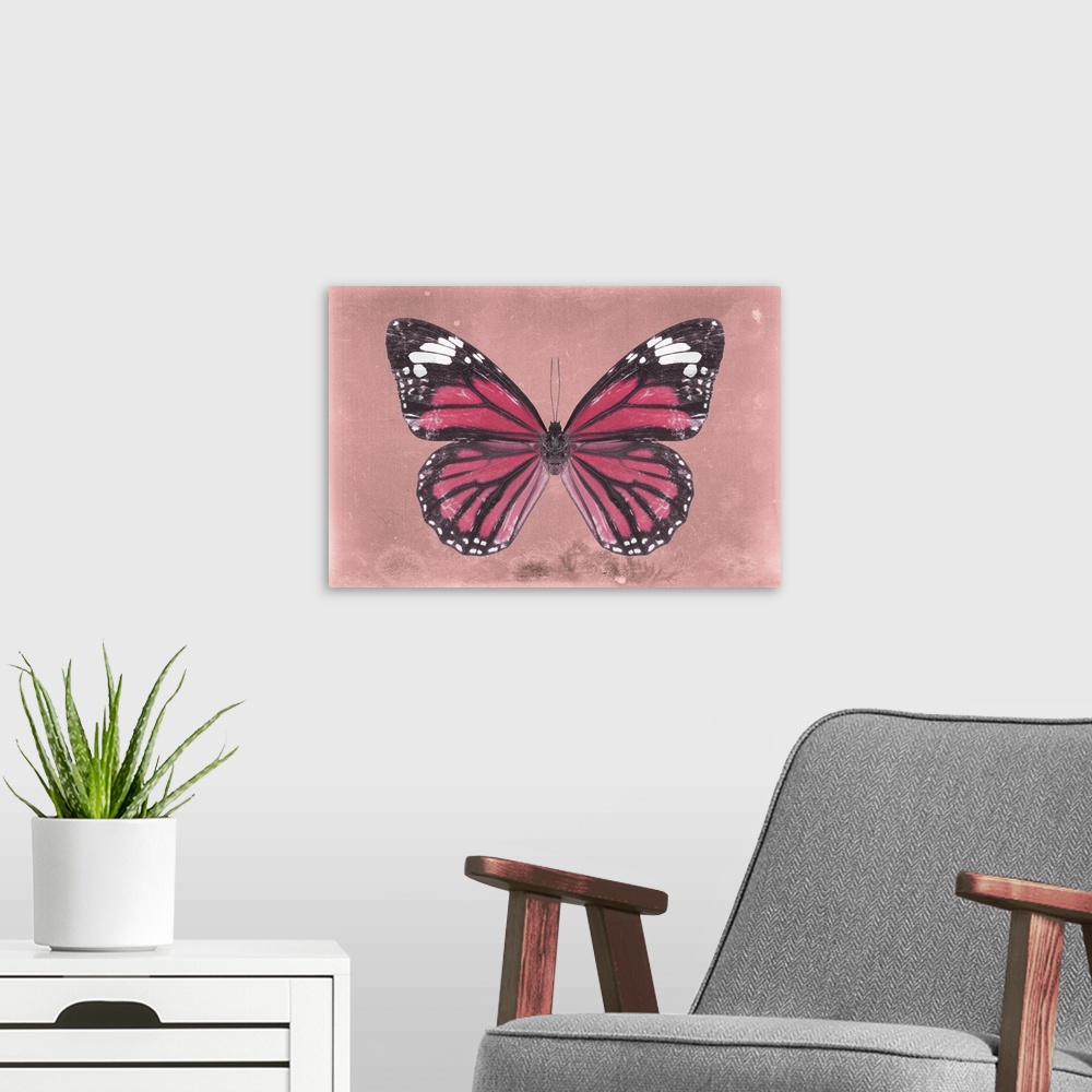 A modern room featuring Photograph of a butterfly on a pink sparkly background.