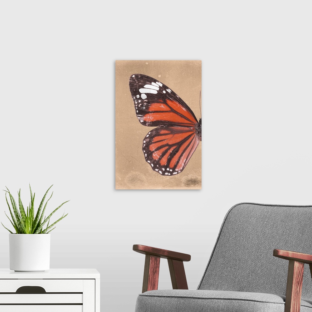 A modern room featuring Half of a butterfly on an orange sparkly background.