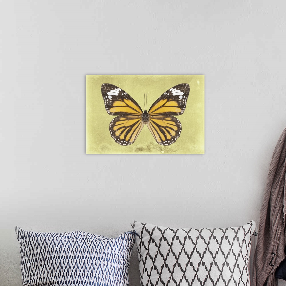 A bohemian room featuring Photograph of a butterfly on a yellow sparkly background.