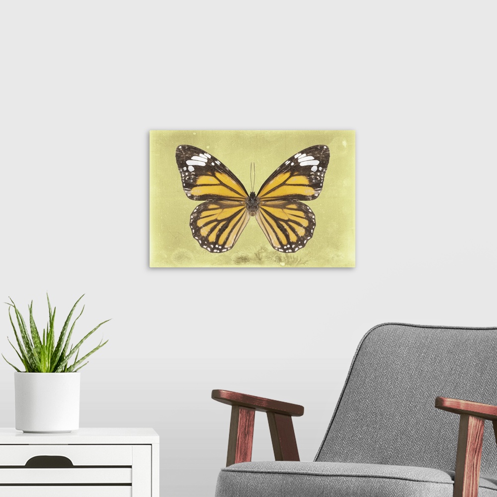 A modern room featuring Photograph of a butterfly on a yellow sparkly background.
