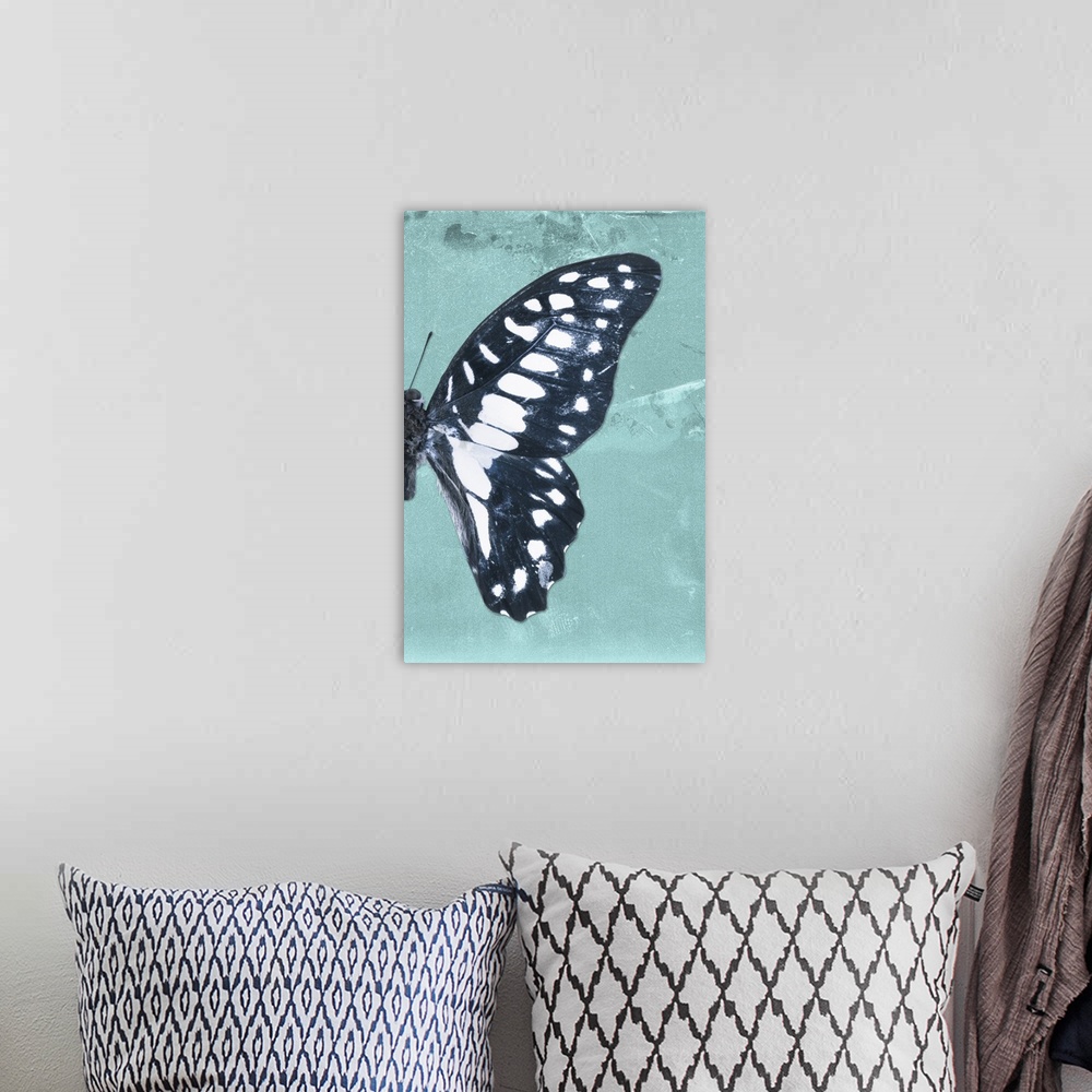 A bohemian room featuring Half of a butterfly on a blue sparkly background.