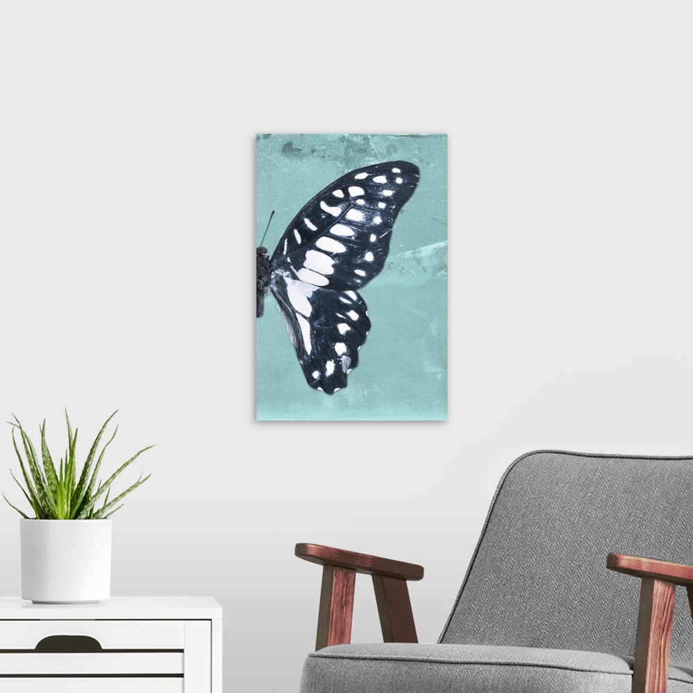 A modern room featuring Half of a butterfly on a blue sparkly background.