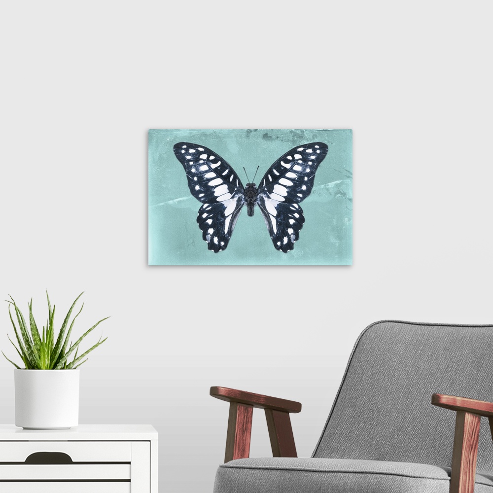 A modern room featuring Photograph of a butterfly on a blue-green sparkly background.