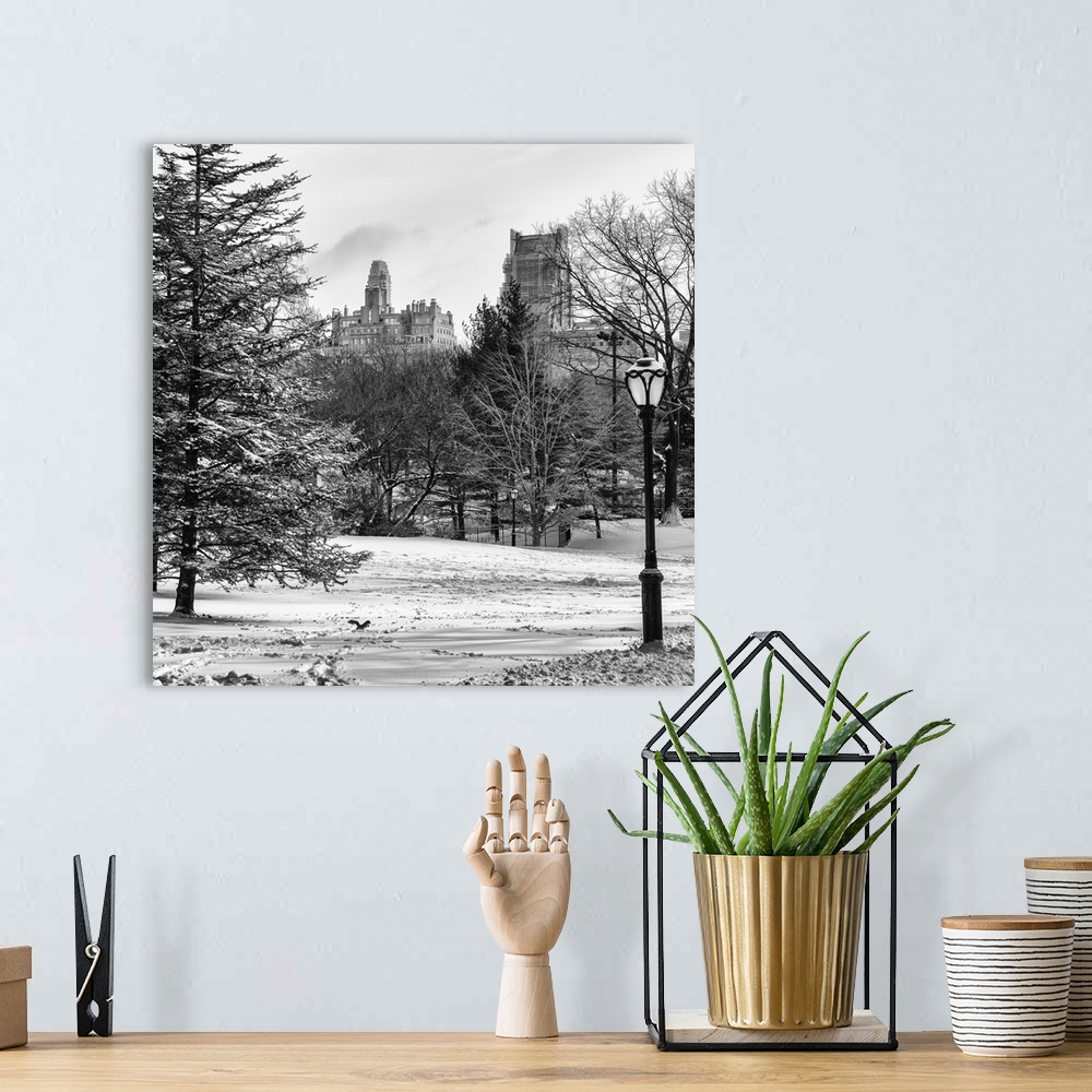 A bohemian room featuring A photograph looking at surrounding buildings around Central Park in winter, in NYC.