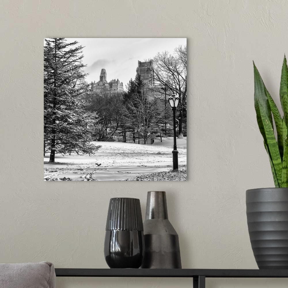 A modern room featuring A photograph looking at surrounding buildings around Central Park in winter, in NYC.