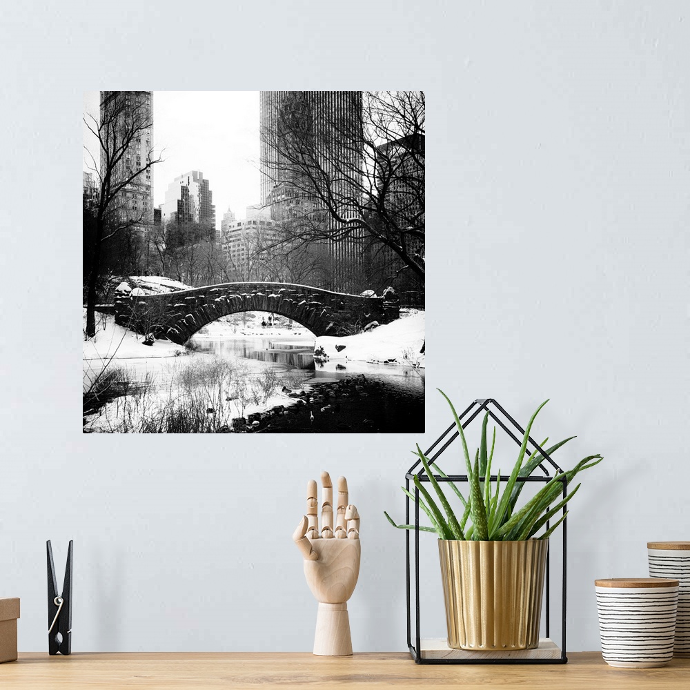A bohemian room featuring A photograph looking at surrounding buildings around Central Park in winter, in NYC.