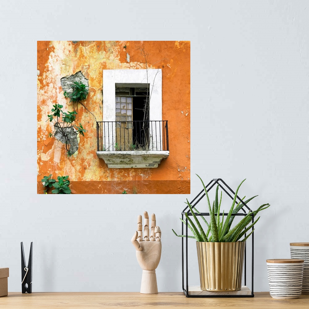 A bohemian room featuring Square photograph of a rustic balcony with orange chipping paint and new plant growth on the exte...