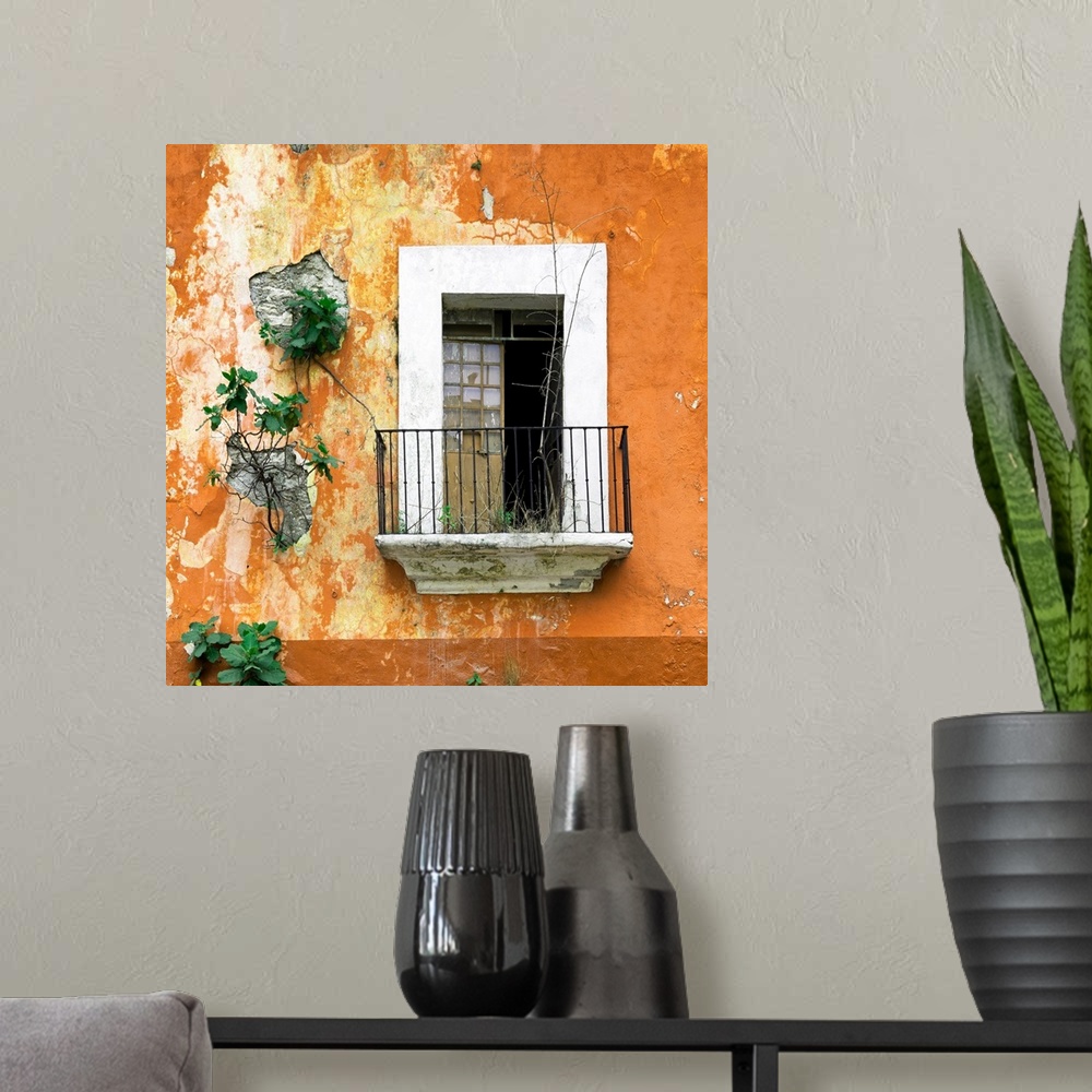 A modern room featuring Square photograph of a rustic balcony with orange chipping paint and new plant growth on the exte...