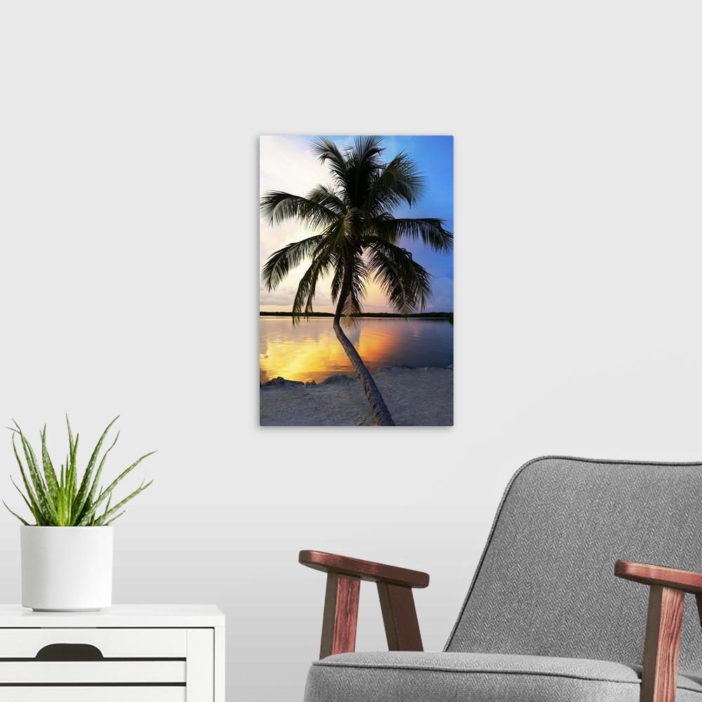 A modern room featuring A silhouetted palm tree stretching out over the ocean at dusk.
