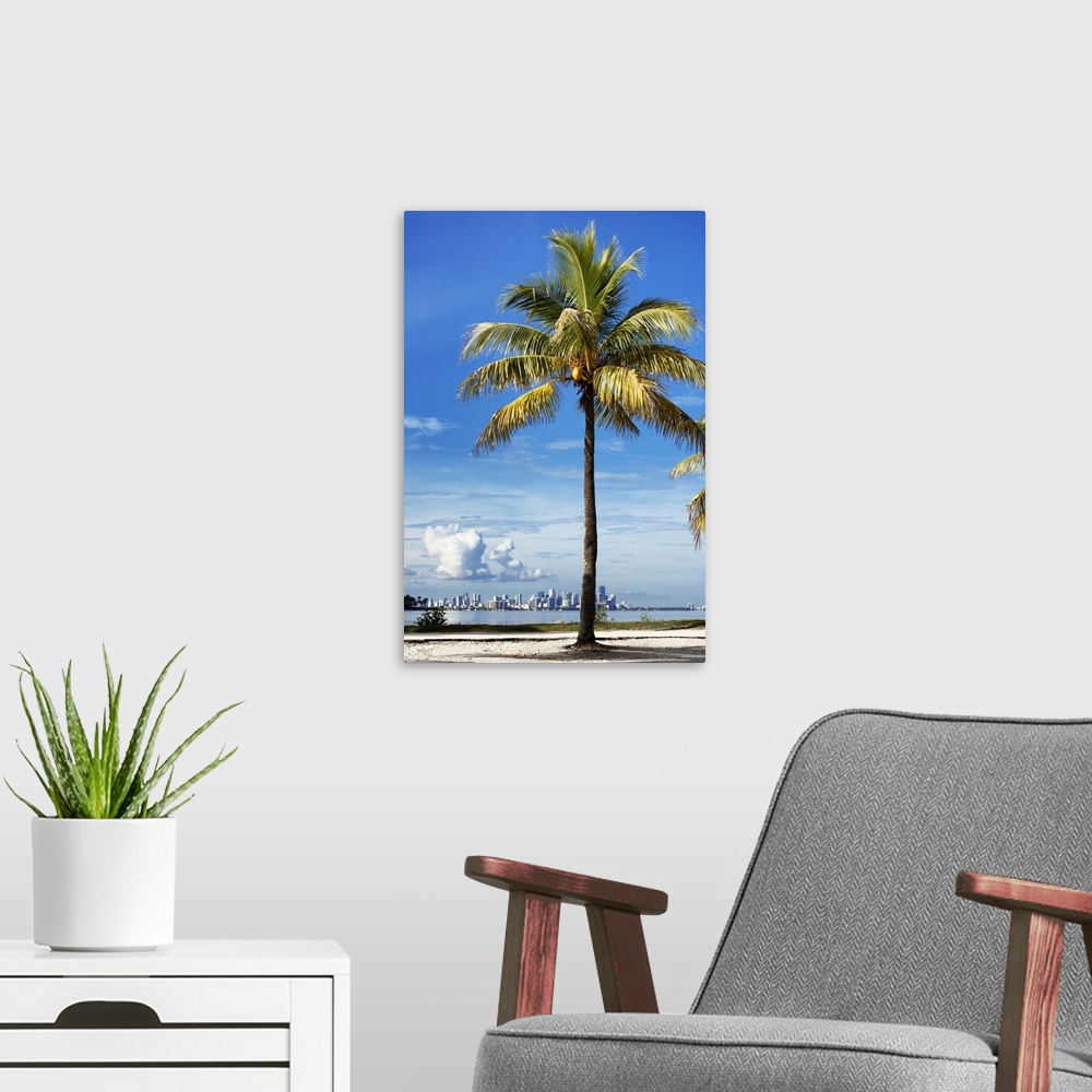 A modern room featuring A palm tree on the coast with the city of Miami in the distance.