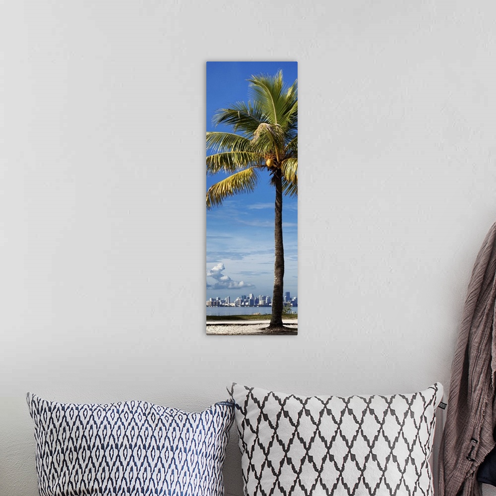 A bohemian room featuring A single palm tree on the coast with the Miami skyline in the distance.