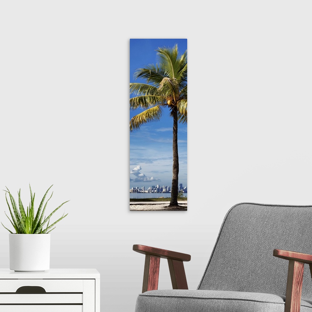 A modern room featuring A single palm tree on the coast with the Miami skyline in the distance.
