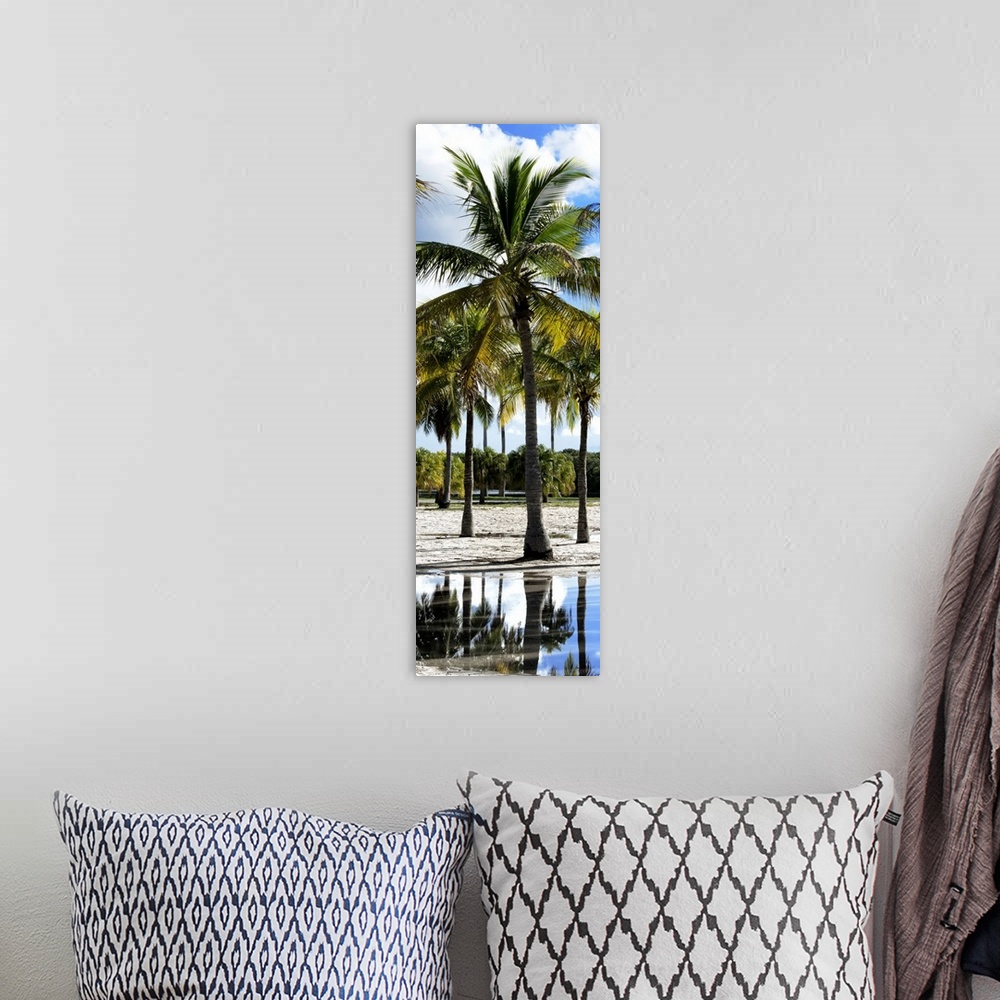 A bohemian room featuring Tropical palm trees on the beach in Miami, Florida.