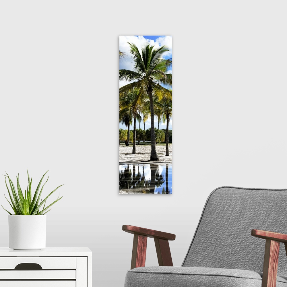 A modern room featuring Tropical palm trees on the beach in Miami, Florida.