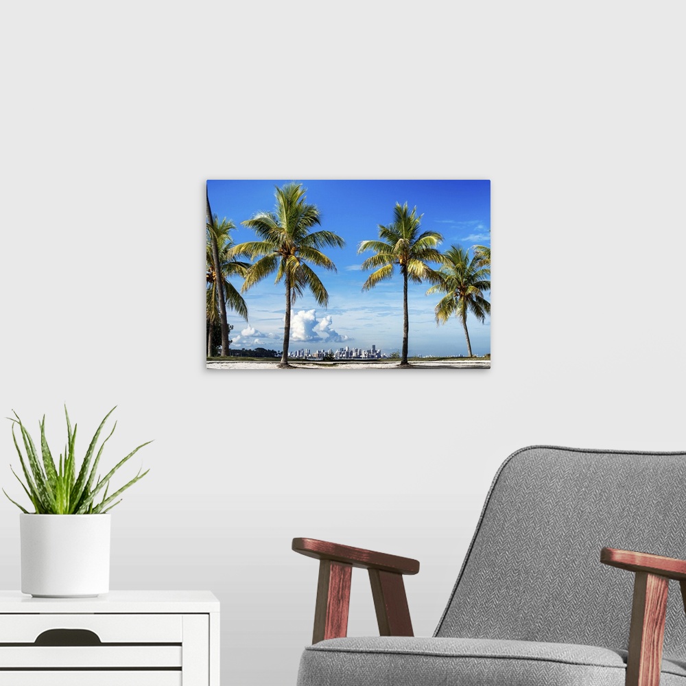 A modern room featuring Several palm trees on the coast with the city of Miami in the distance.