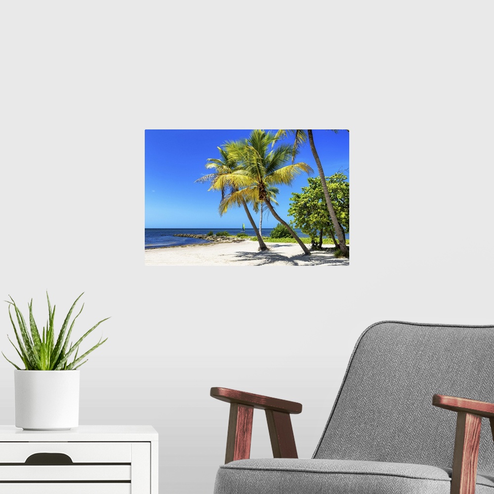 A modern room featuring Leafy palm trees over a sandy beach on a clear day, Florida.