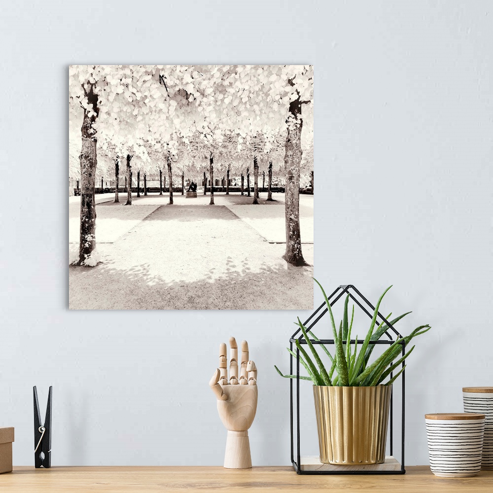 A bohemian room featuring It's a winter landscape with a statue between trees in the Tuileries garden in Paris. The trees h...