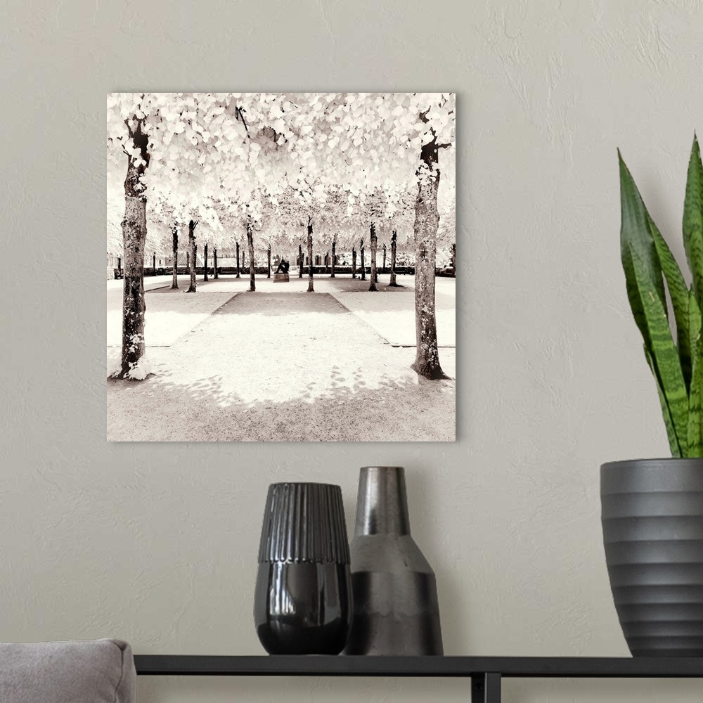 A modern room featuring It's a winter landscape with a statue between trees in the Tuileries garden in Paris. The trees h...
