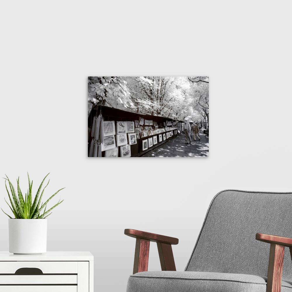A modern room featuring A view of a magazine stand in Paris, made in infrared mode in summer. The vegetation is white and...