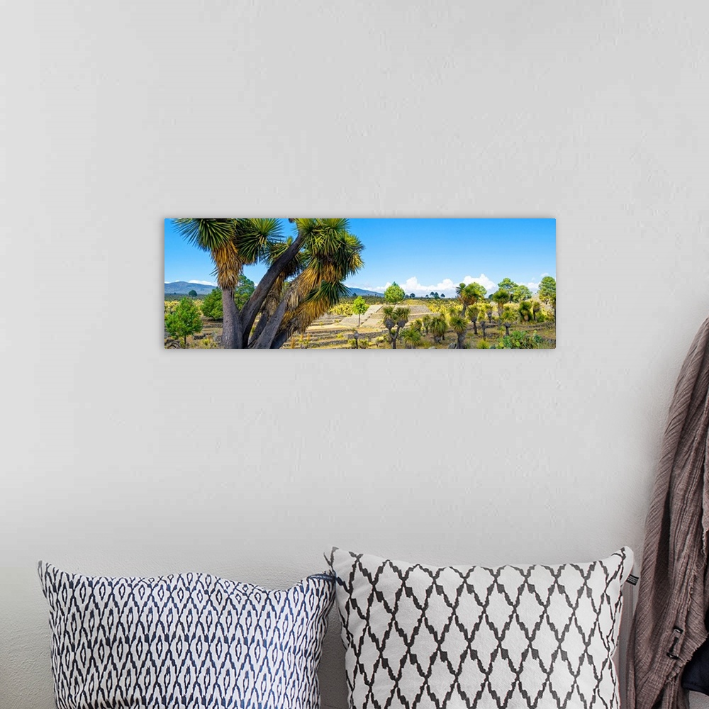 A bohemian room featuring Photograph of the ancient Pyramid of Cantona in Puebla, Mexico. From the Viva Mexico Panoramic Co...