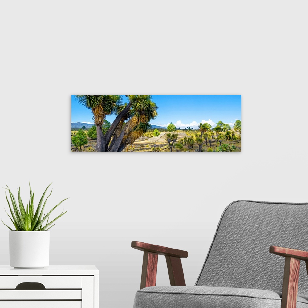 A modern room featuring Photograph of the ancient Pyramid of Cantona in Puebla, Mexico. From the Viva Mexico Panoramic Co...
