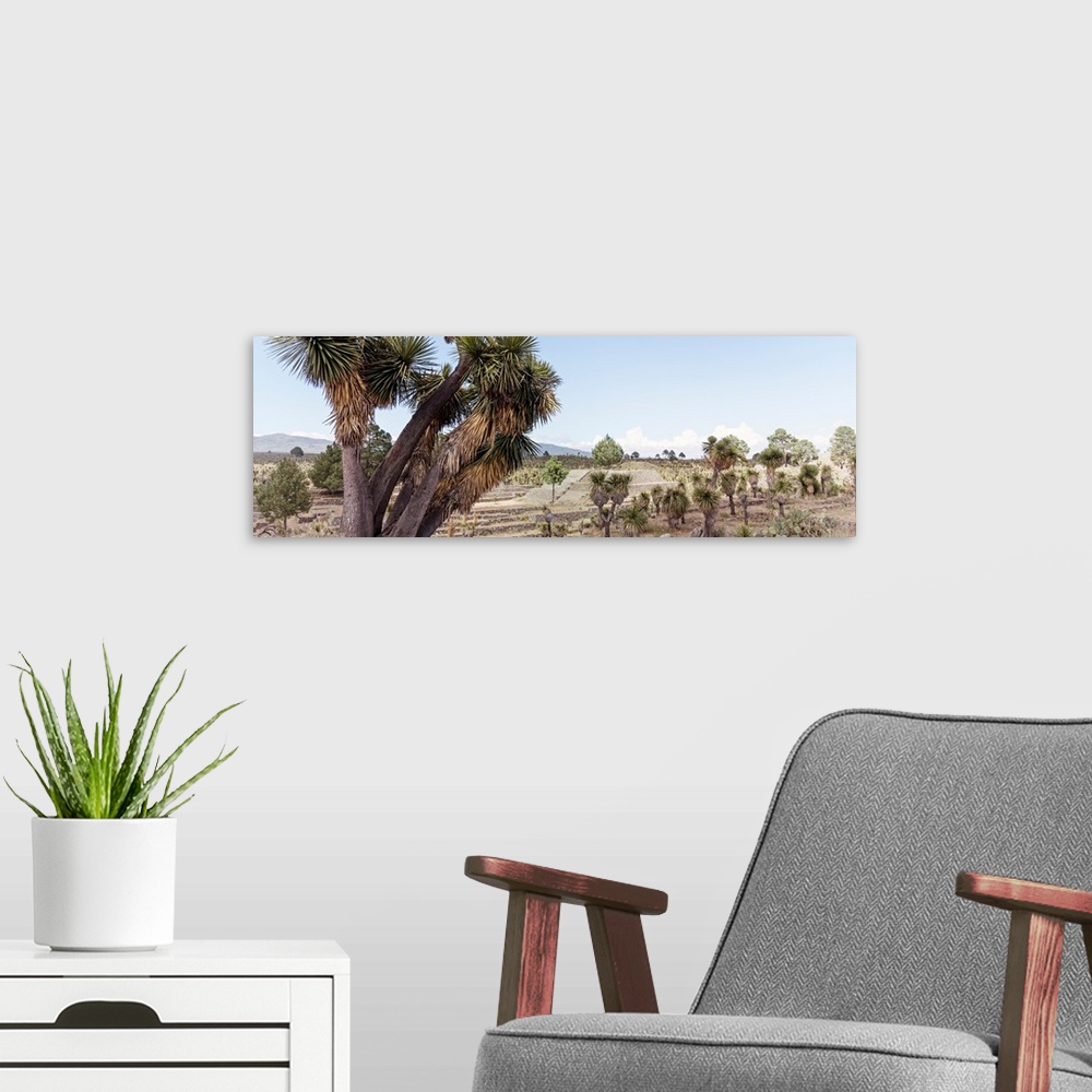 A modern room featuring Washed out photograph of the ancient Pyramid of Cantona in Puebla, Mexico. From the Viva Mexico P...