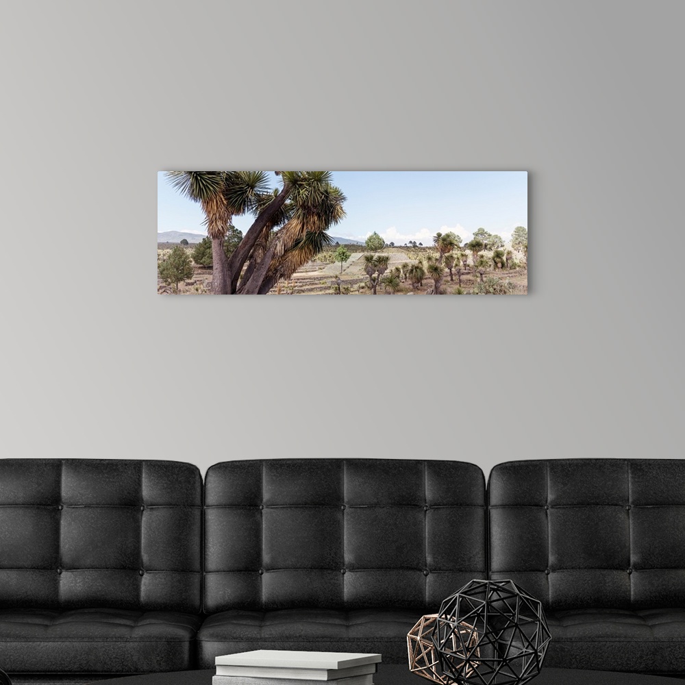 A modern room featuring Washed out photograph of the ancient Pyramid of Cantona in Puebla, Mexico. From the Viva Mexico P...