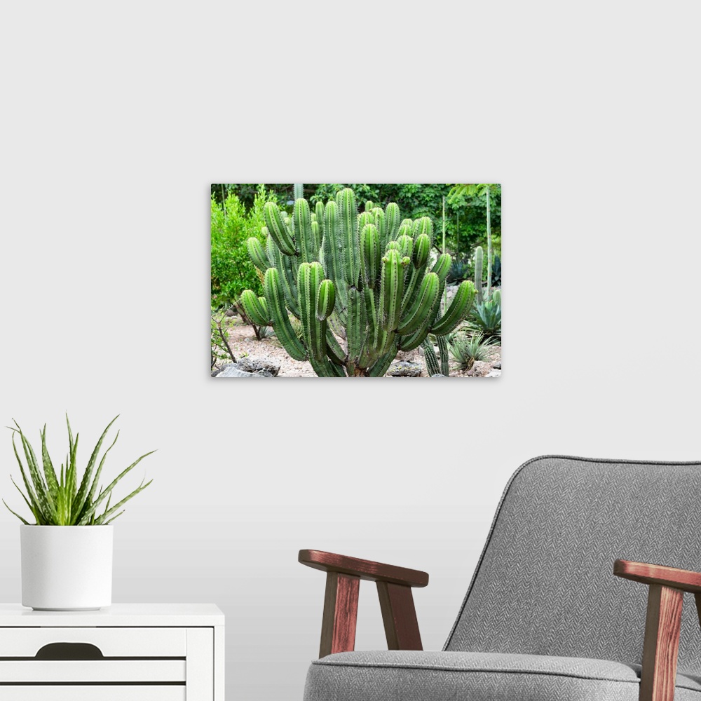 A modern room featuring Photograph of a saguaro cactus in the Mexican desert. From the Viva Mexico Collection.