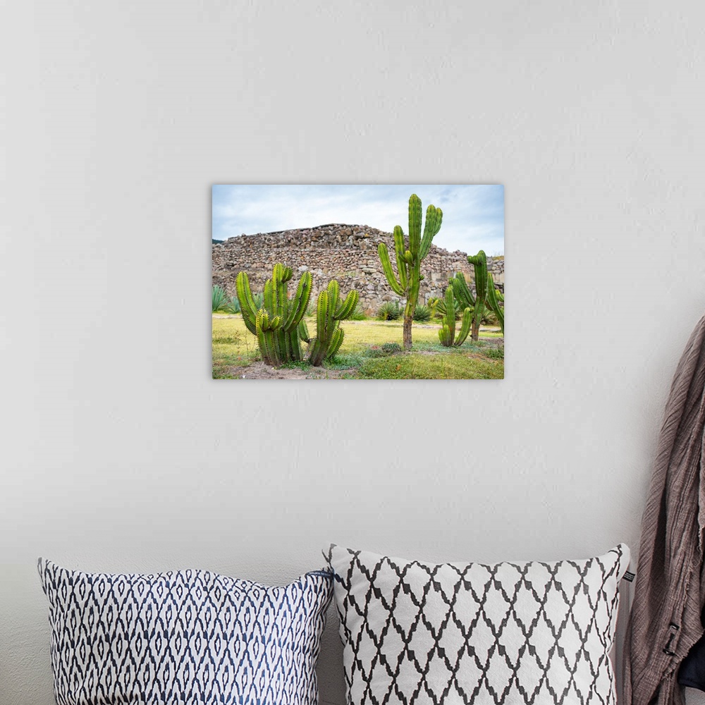 A bohemian room featuring Landscape photograph with saguaro cactus and Mexican ruins in the background. From the Viva Mexic...