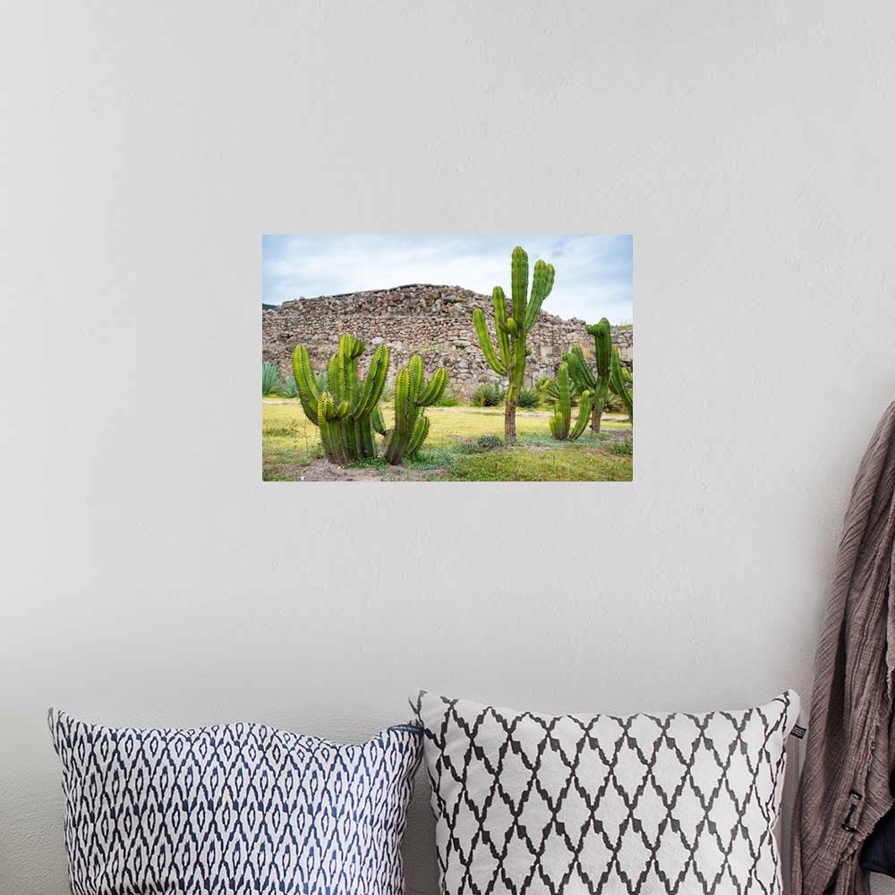 A bohemian room featuring Landscape photograph with saguaro cactus and Mexican ruins in the background. From the Viva Mexic...
