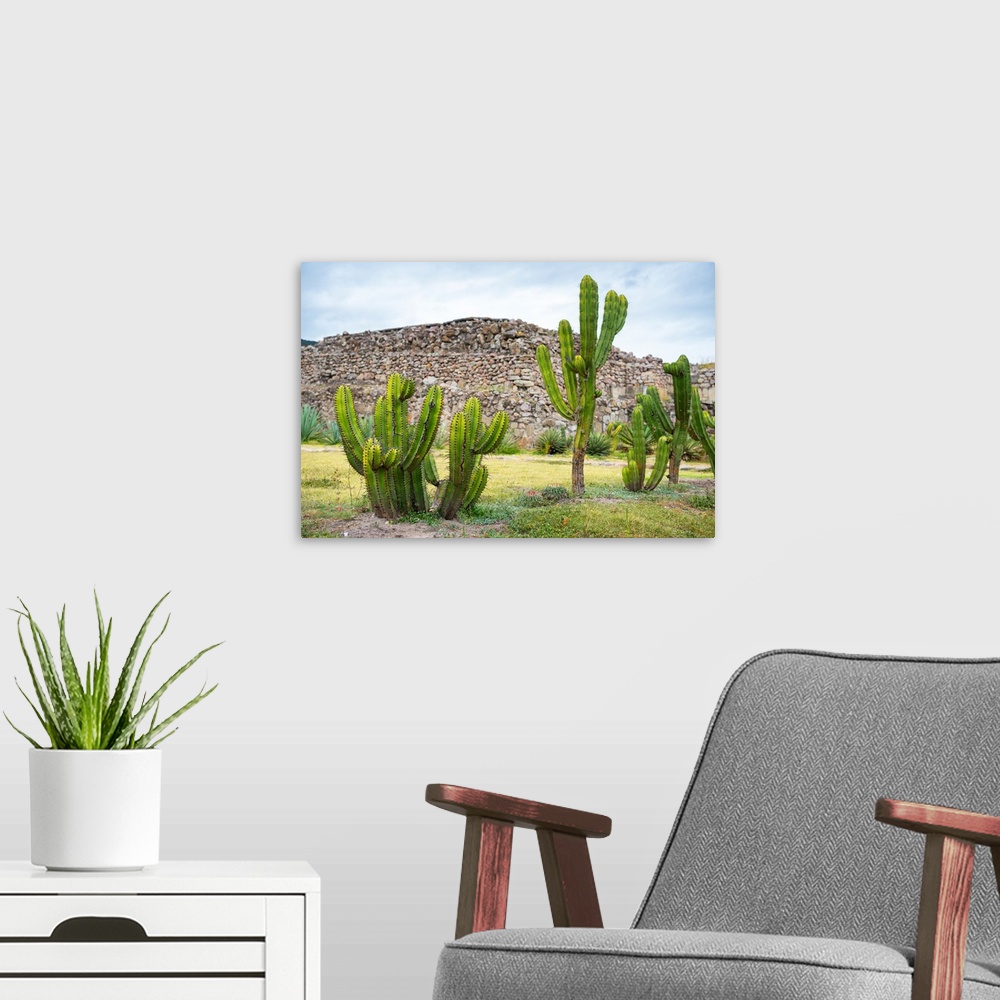 A modern room featuring Landscape photograph with saguaro cactus and Mexican ruins in the background. From the Viva Mexic...