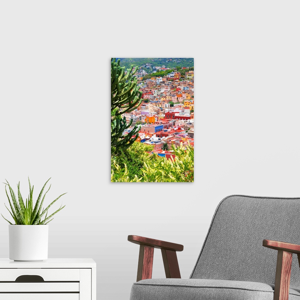 A modern room featuring Cityscape photograph of Guanajuato, Mexico, framed with green plants and cacti. From the Viva Mex...