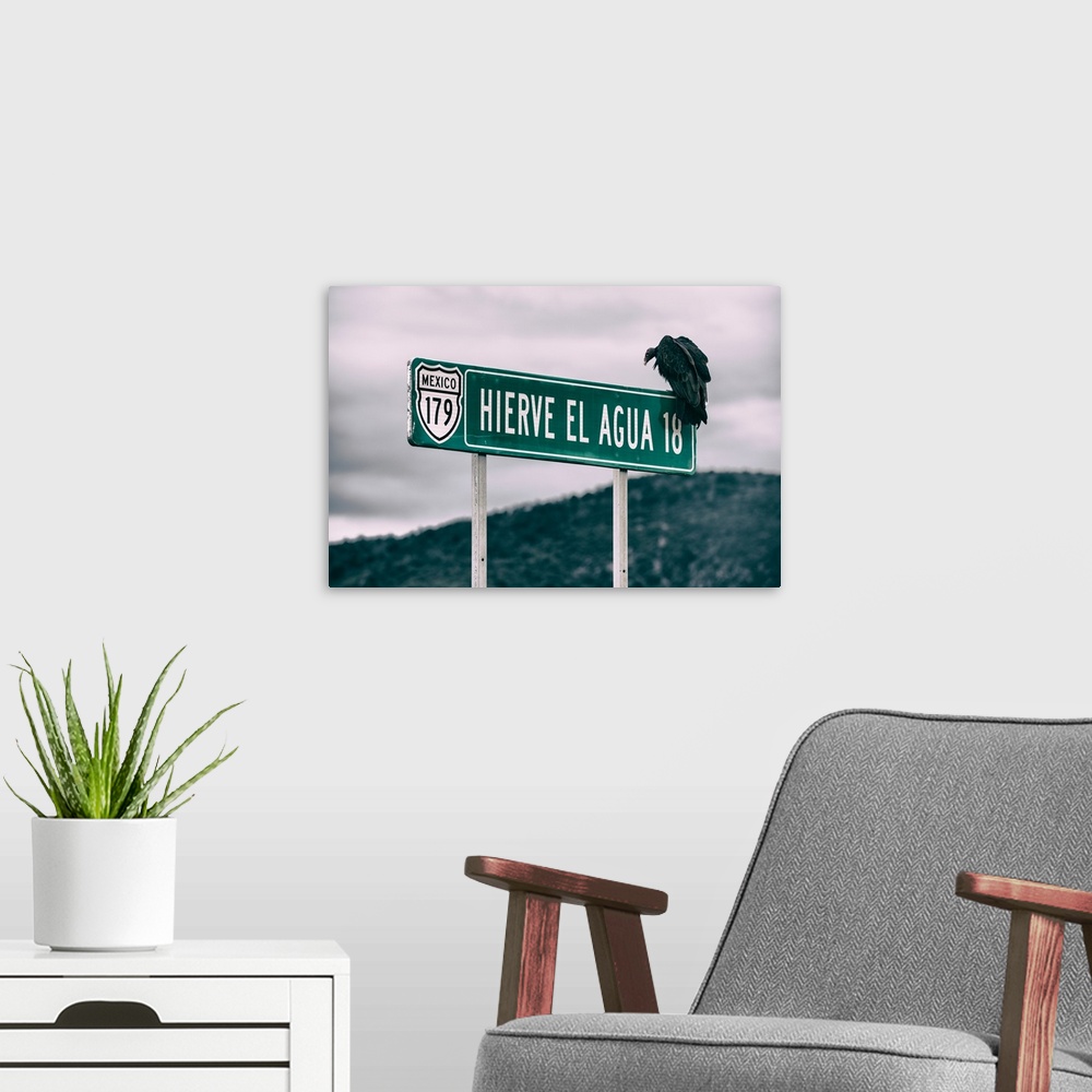 A modern room featuring Photograph of a vulture perched on a street sign in Mexico. From the Viva Mexico Collection.