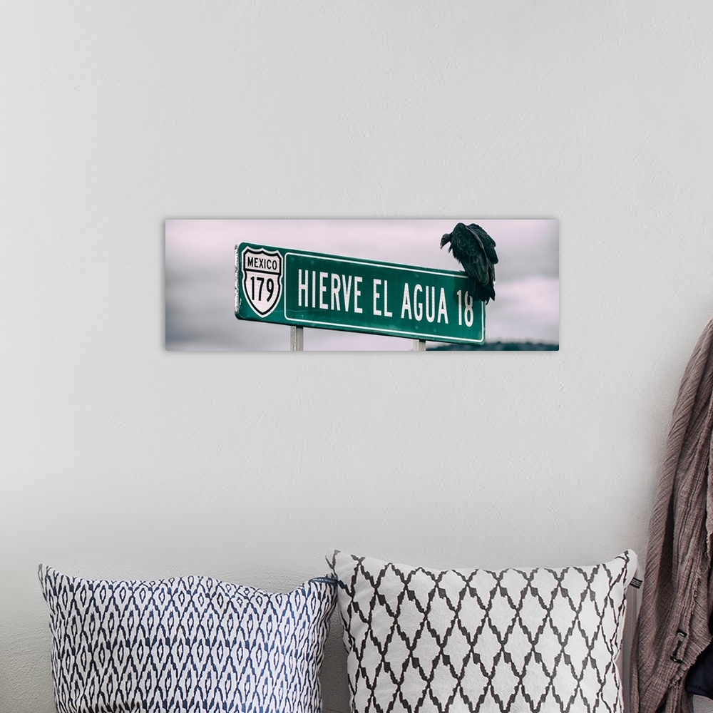 A bohemian room featuring Panoramic photograph of a vulture perched up on a street sign in Mexico. From the Viva Mexico Pan...