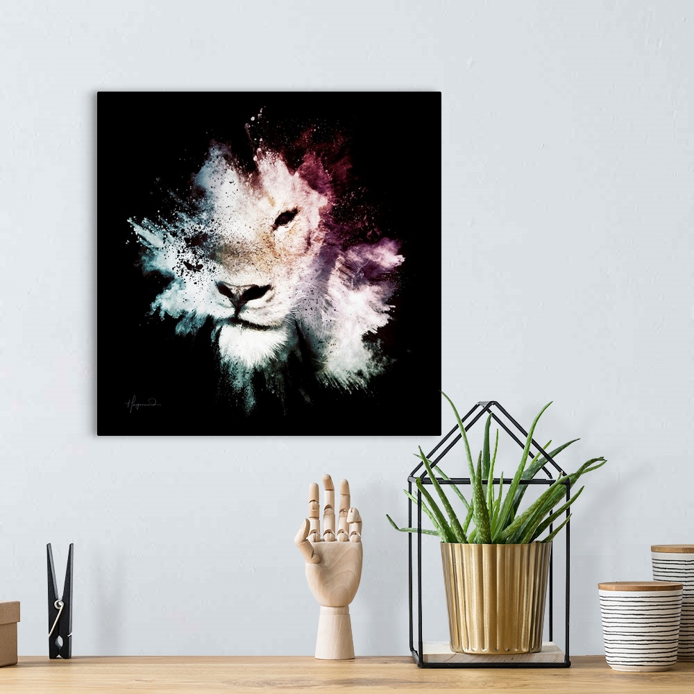 A bohemian room featuring Wild Explosion Square Collection - The Lion